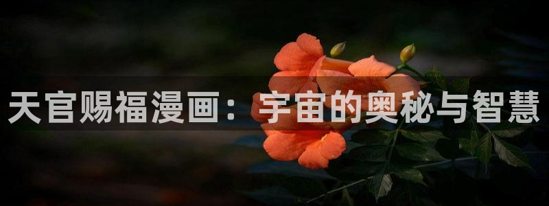 刺客守则动漫免费观看奇漫屋动漫：天官赐福漫画：宇宙的奥秘与智慧