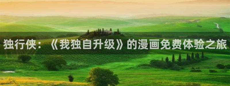 全职法师第五季奇漫屋动漫：独行侠：《我独自升级》的漫画免费体验之旅